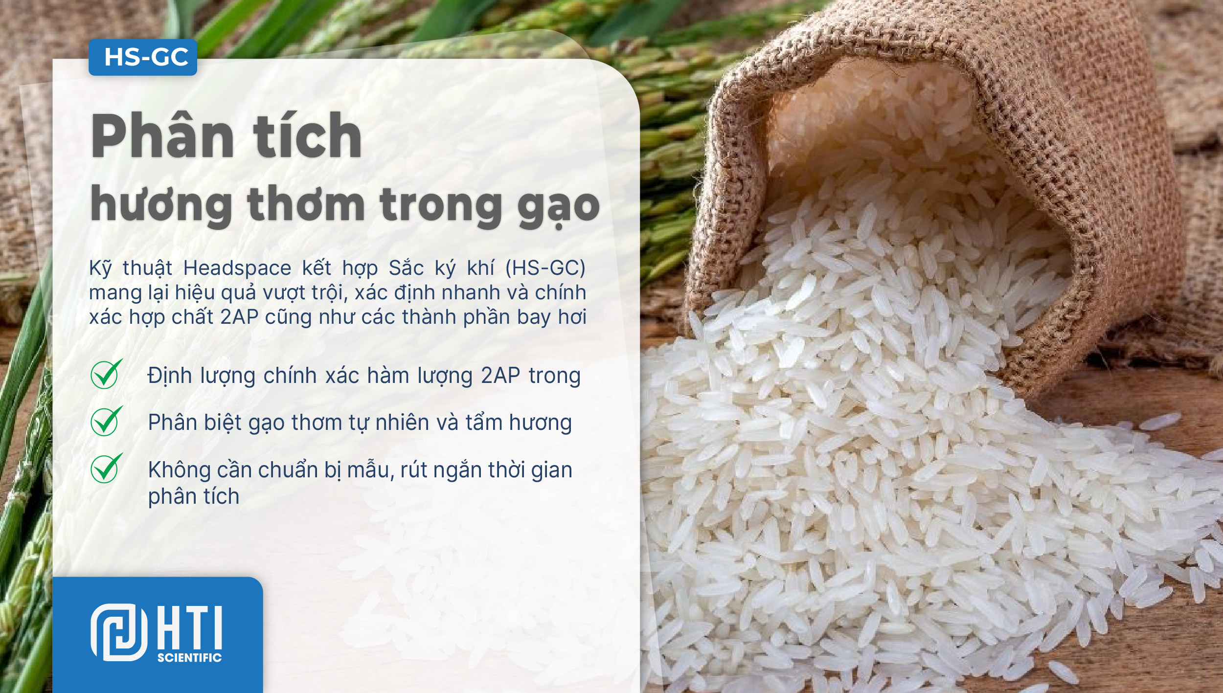 phan-tich-huong-thom-trong-gao